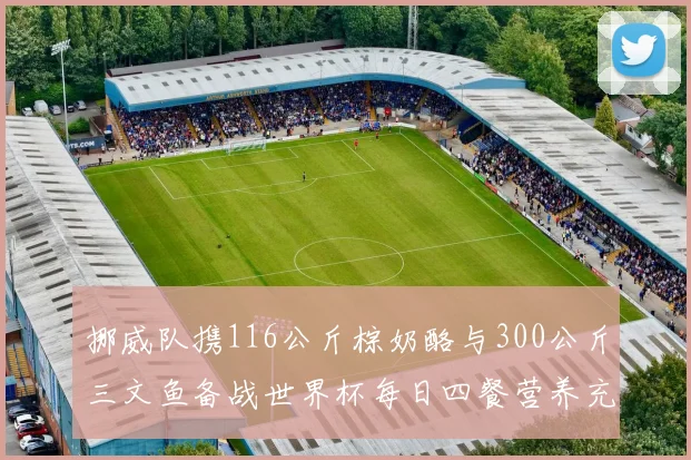 挪威队携116公斤棕奶酪与300公斤三文鱼备战世界杯每日四餐营养充足